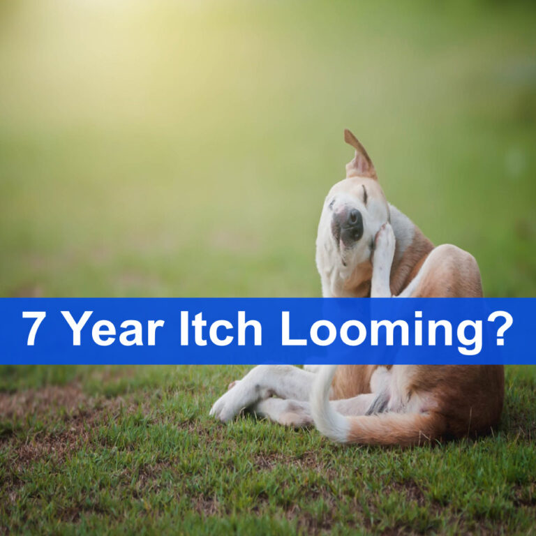 7 Year Itch